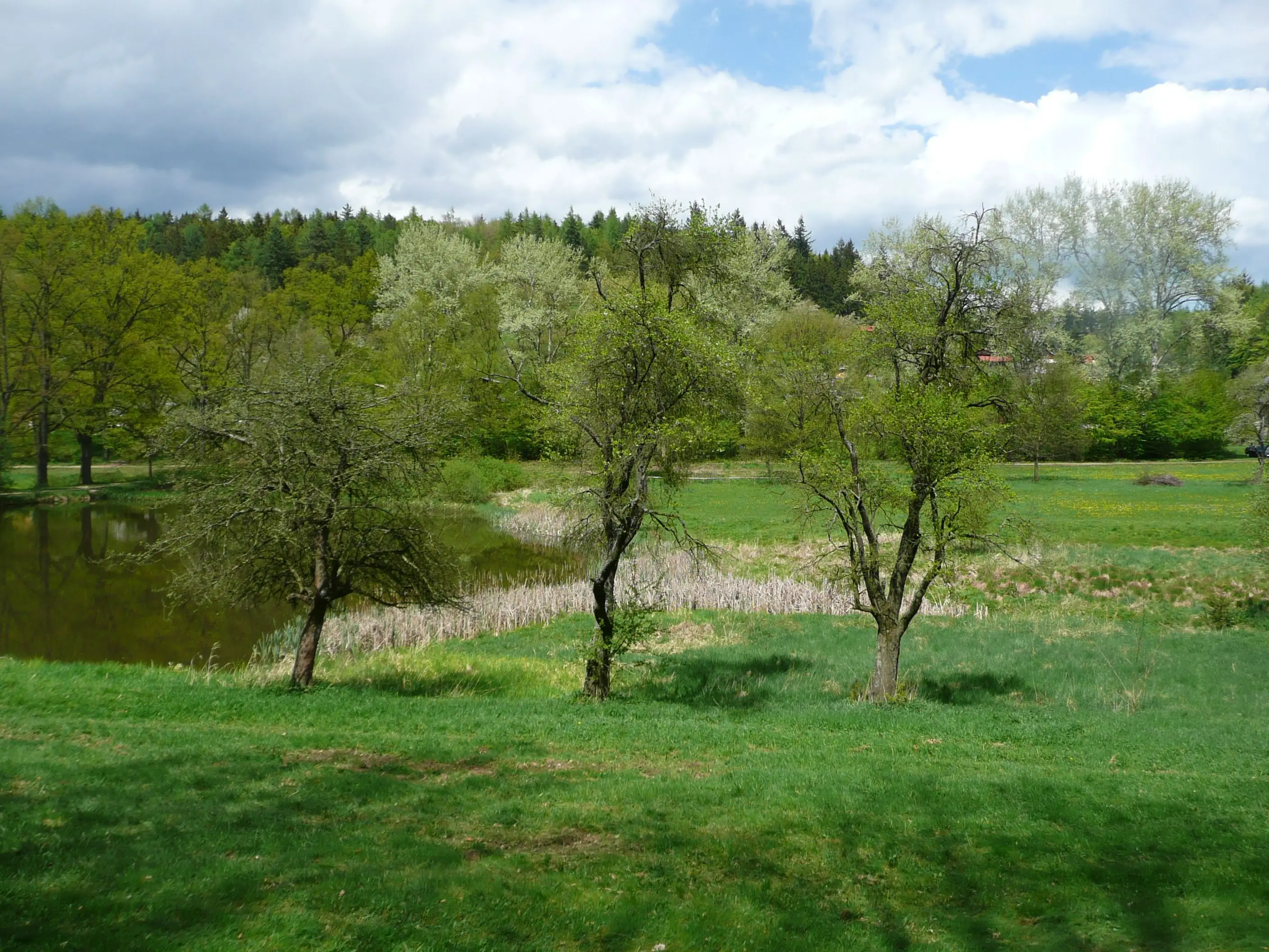 obr. k článku: Rybník Bašta